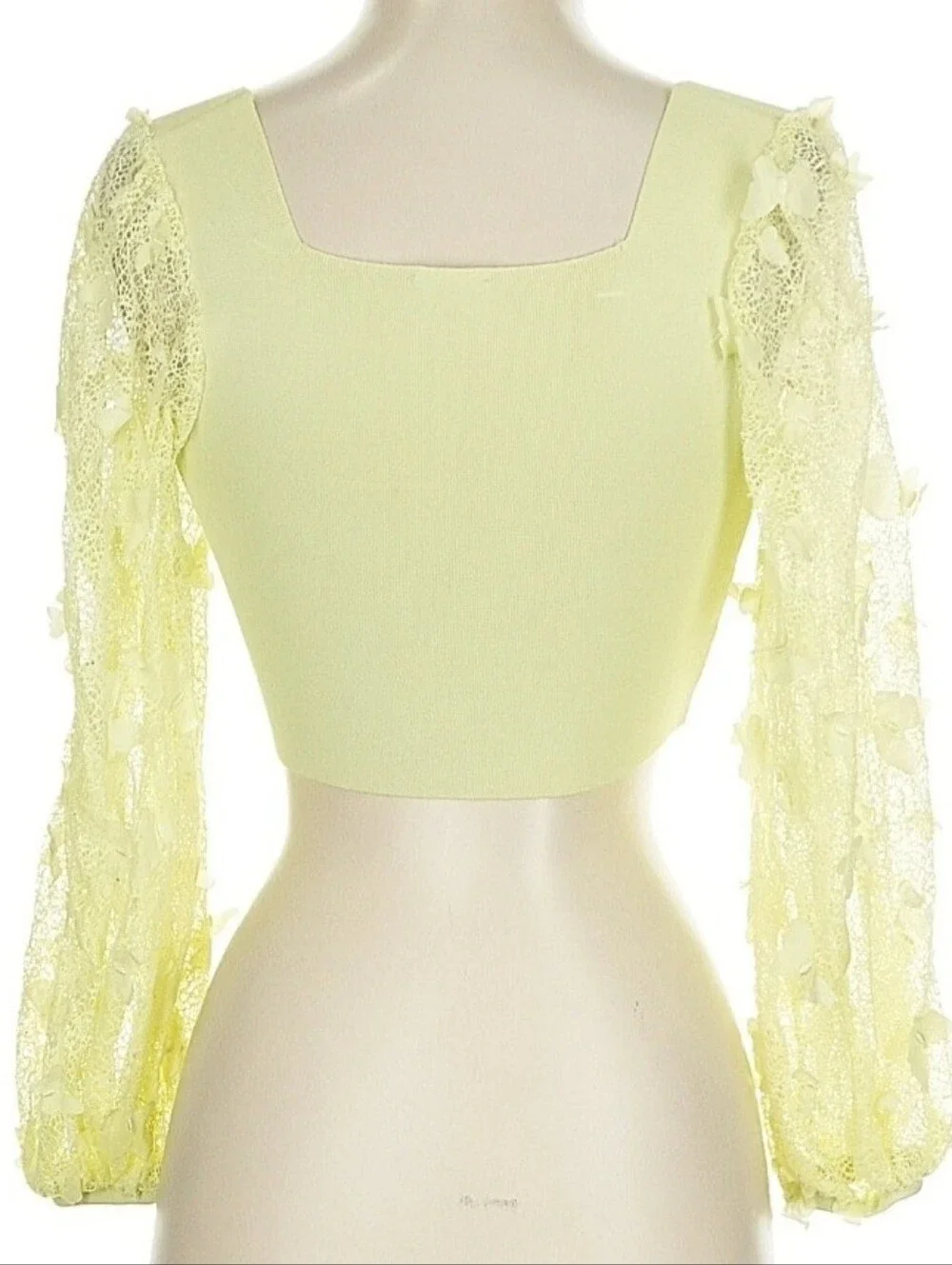 Free People Flutter By Lemon Crop Top With Lace Butterfly Sleeves